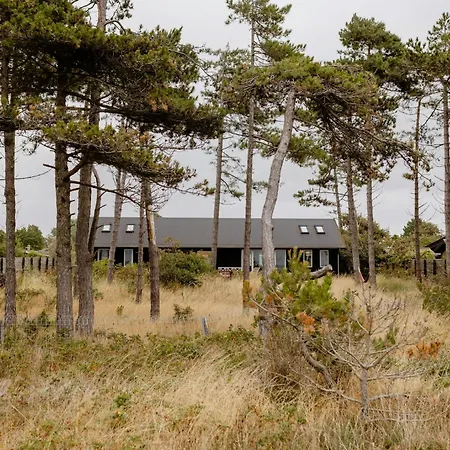 Unspoiled View To The Sea And Wild Nature *