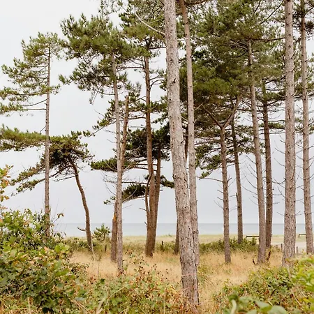 Unspoiled View To The Sea And Wild Nature